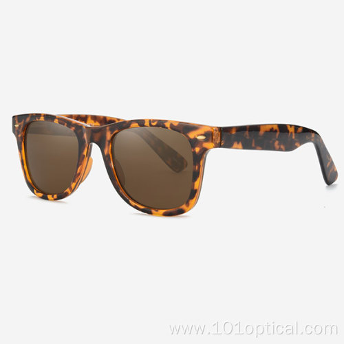 Square PC or CP Men's Sunglasses
